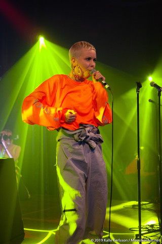 D.R.E.A.M.G.I.R.L.S. D.R.E.A.M.G.I.R.L.S.